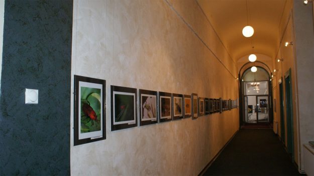 Narodni Muzej Zrenjanin Narodni Muzej Zrenjanin