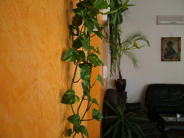 Private house